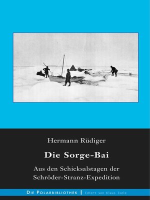 cover image of Die Sorge-Bai